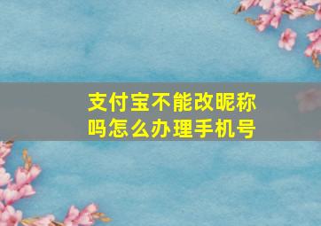 支付宝不能改昵称吗怎么办理手机号