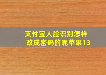 支付宝人脸识别怎样改成密码的呢苹果13