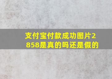 支付宝付款成功图片2858是真的吗还是假的