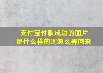 支付宝付款成功的图片是什么样的啊怎么弄回来