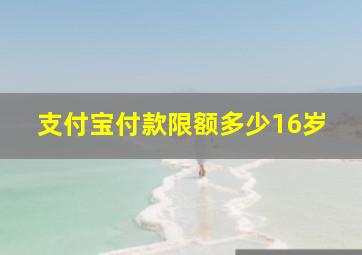 支付宝付款限额多少16岁