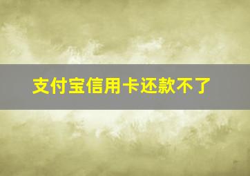 支付宝信用卡还款不了