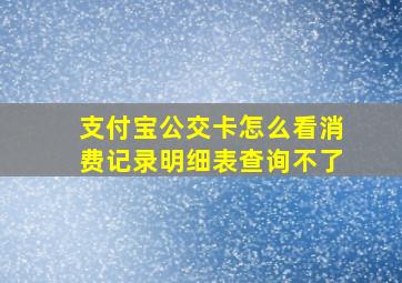 支付宝公交卡怎么看消费记录明细表查询不了