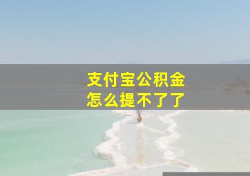 支付宝公积金怎么提不了了