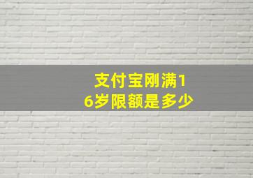 支付宝刚满16岁限额是多少