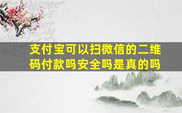 支付宝可以扫微信的二维码付款吗安全吗是真的吗