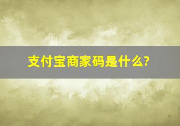 支付宝商家码是什么?