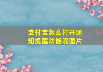 支付宝怎么打开通知提醒功能呢图片