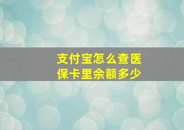 支付宝怎么查医保卡里余额多少