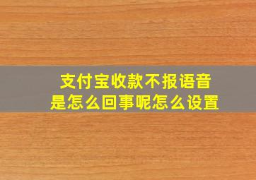 支付宝收款不报语音是怎么回事呢怎么设置