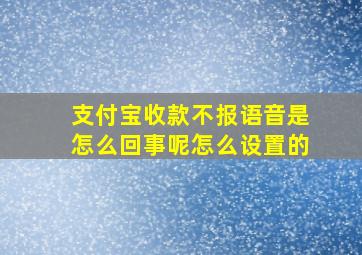 支付宝收款不报语音是怎么回事呢怎么设置的