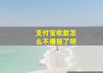 支付宝收款怎么不播报了呀