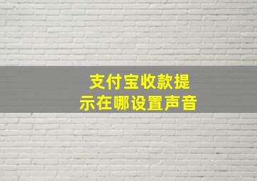 支付宝收款提示在哪设置声音