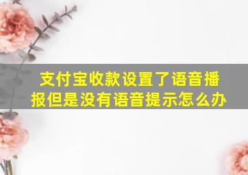 支付宝收款设置了语音播报但是没有语音提示怎么办