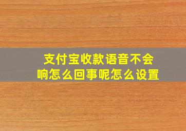 支付宝收款语音不会响怎么回事呢怎么设置