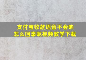 支付宝收款语音不会响怎么回事呢视频教学下载