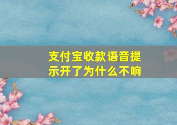 支付宝收款语音提示开了为什么不响