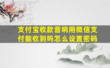 支付宝收款音响用微信支付能收到吗怎么设置密码