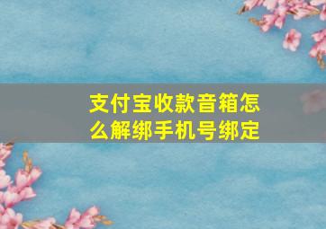 支付宝收款音箱怎么解绑手机号绑定