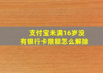 支付宝未满16岁没有银行卡限额怎么解除