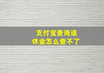 支付宝查询退休金怎么查不了