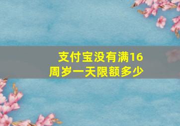 支付宝没有满16周岁一天限额多少