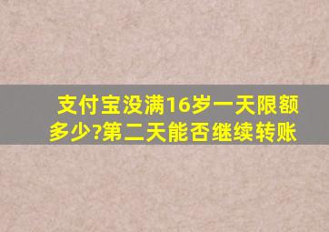 支付宝没满16岁一天限额多少?第二天能否继续转账