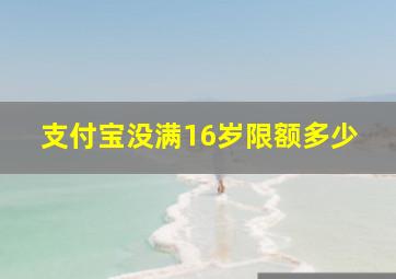 支付宝没满16岁限额多少