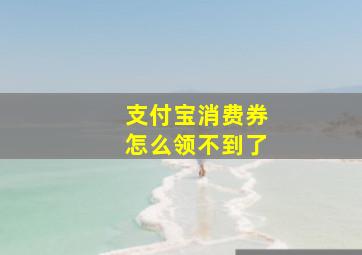 支付宝消费券怎么领不到了