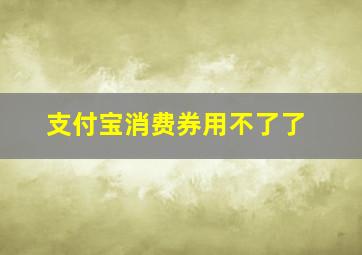 支付宝消费券用不了了