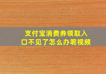 支付宝消费券领取入口不见了怎么办呢视频