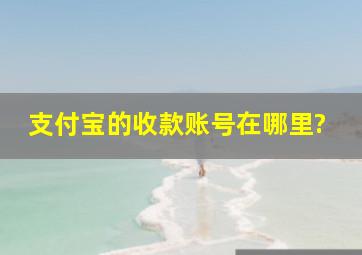 支付宝的收款账号在哪里?