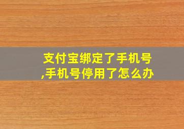 支付宝绑定了手机号,手机号停用了怎么办