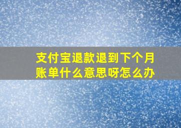 支付宝退款退到下个月账单什么意思呀怎么办