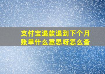 支付宝退款退到下个月账单什么意思呀怎么查