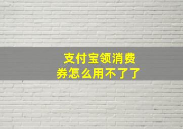 支付宝领消费券怎么用不了了