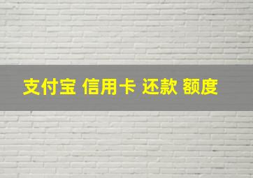 支付宝 信用卡 还款 额度