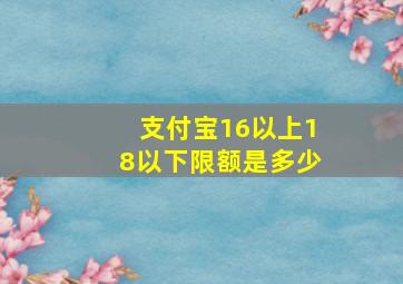 支付宝16以上18以下限额是多少