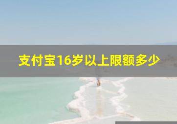 支付宝16岁以上限额多少