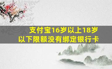 支付宝16岁以上18岁以下限额没有绑定银行卡