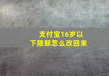 支付宝16岁以下限额怎么改回来