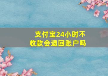 支付宝24小时不收款会退回账户吗