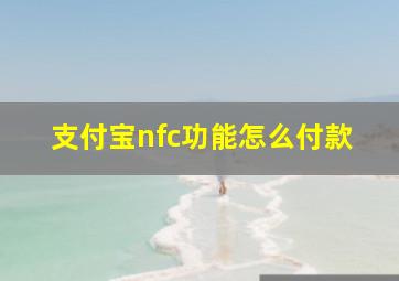 支付宝nfc功能怎么付款