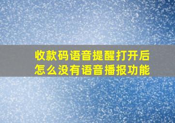 收款码语音提醒打开后怎么没有语音播报功能