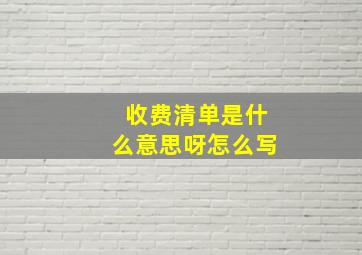 收费清单是什么意思呀怎么写