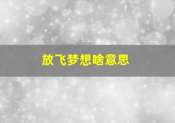 放飞梦想啥意思