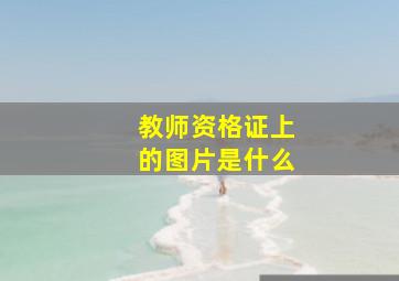 教师资格证上的图片是什么