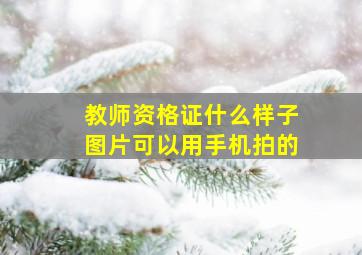 教师资格证什么样子图片可以用手机拍的