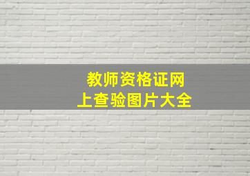 教师资格证网上查验图片大全