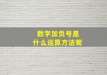 数字加负号是什么运算方法呢